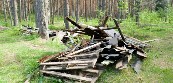 Debris Removal Service in Xenia